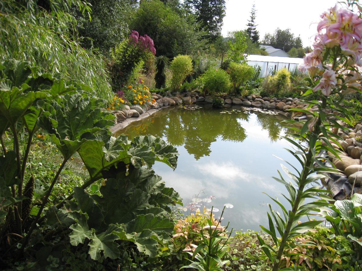 Cedar Acres Vacation Rental Fanny Bay Экстерьер фото